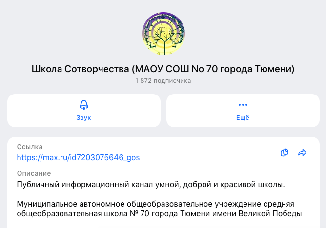 Новости Школы Сотворчества в МАХ